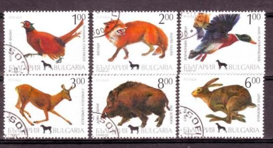 Thema dieren36 Bulgarije