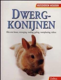 Dwergkonijnen