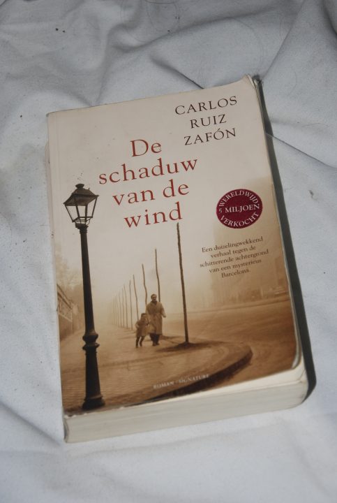 in de schaduw van de wind