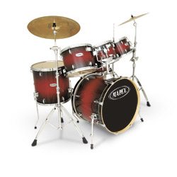 Mapex • M Birch