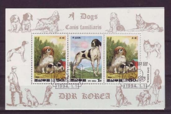 Themablok honden3 