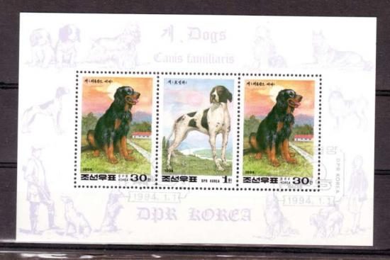 Themablok honden1 