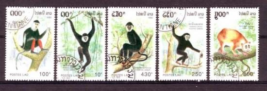Thema dieren3 Laos 