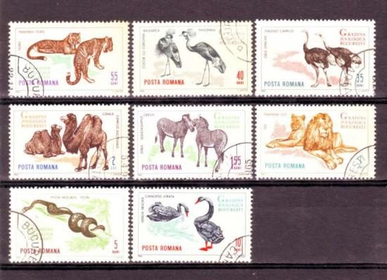 Thema dieren10 Roemenie 