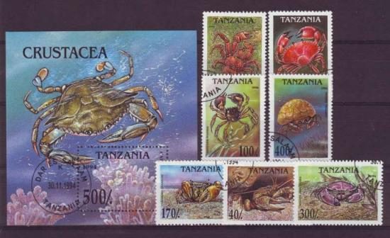 Thema dieren35 Tanzania