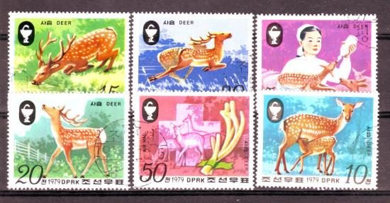 Thema dieren20 Korea 