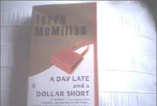 A day late and a dollar short-Terry McMillan