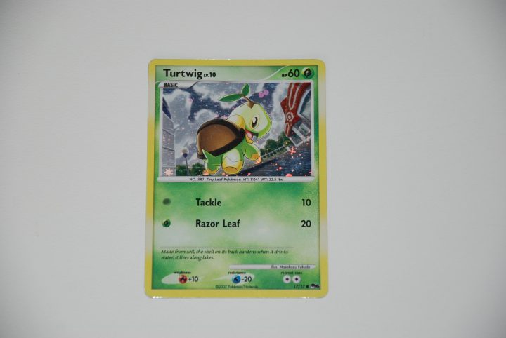 pokemon kaart turtwig lv 10