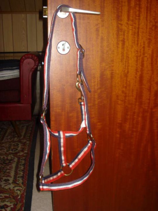 3 halsters te koop! NOG NIEUW, VOOR SPOTPRIJS!!