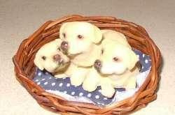 3 hondjes in mandje