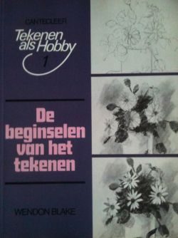 De beginselen van het tekenen 1
