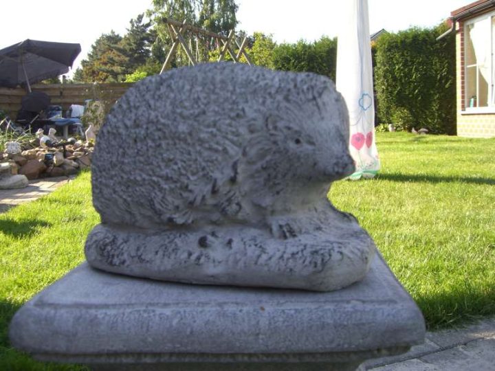 Tuinbeelden betonne egel 