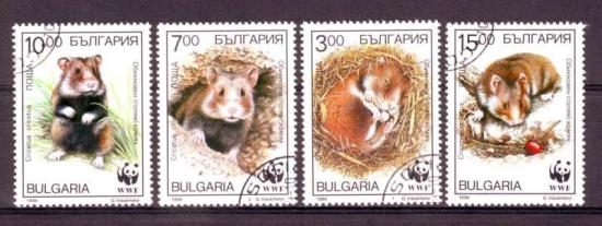 Thema dieren30 Bulgarije WWF