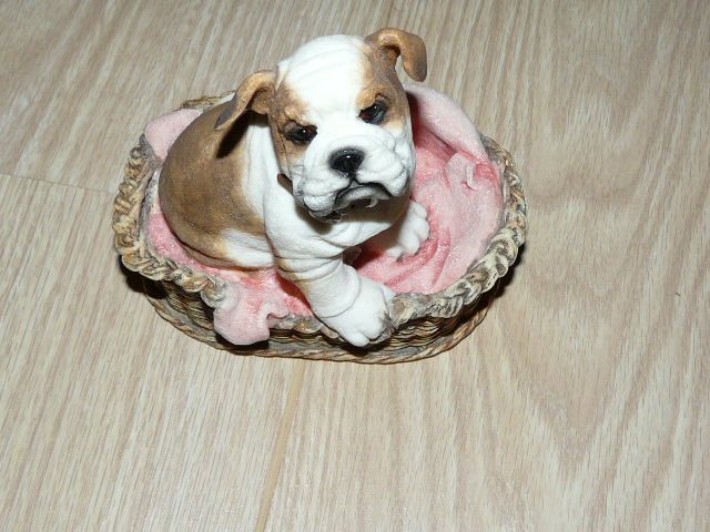  Hond in mand 82