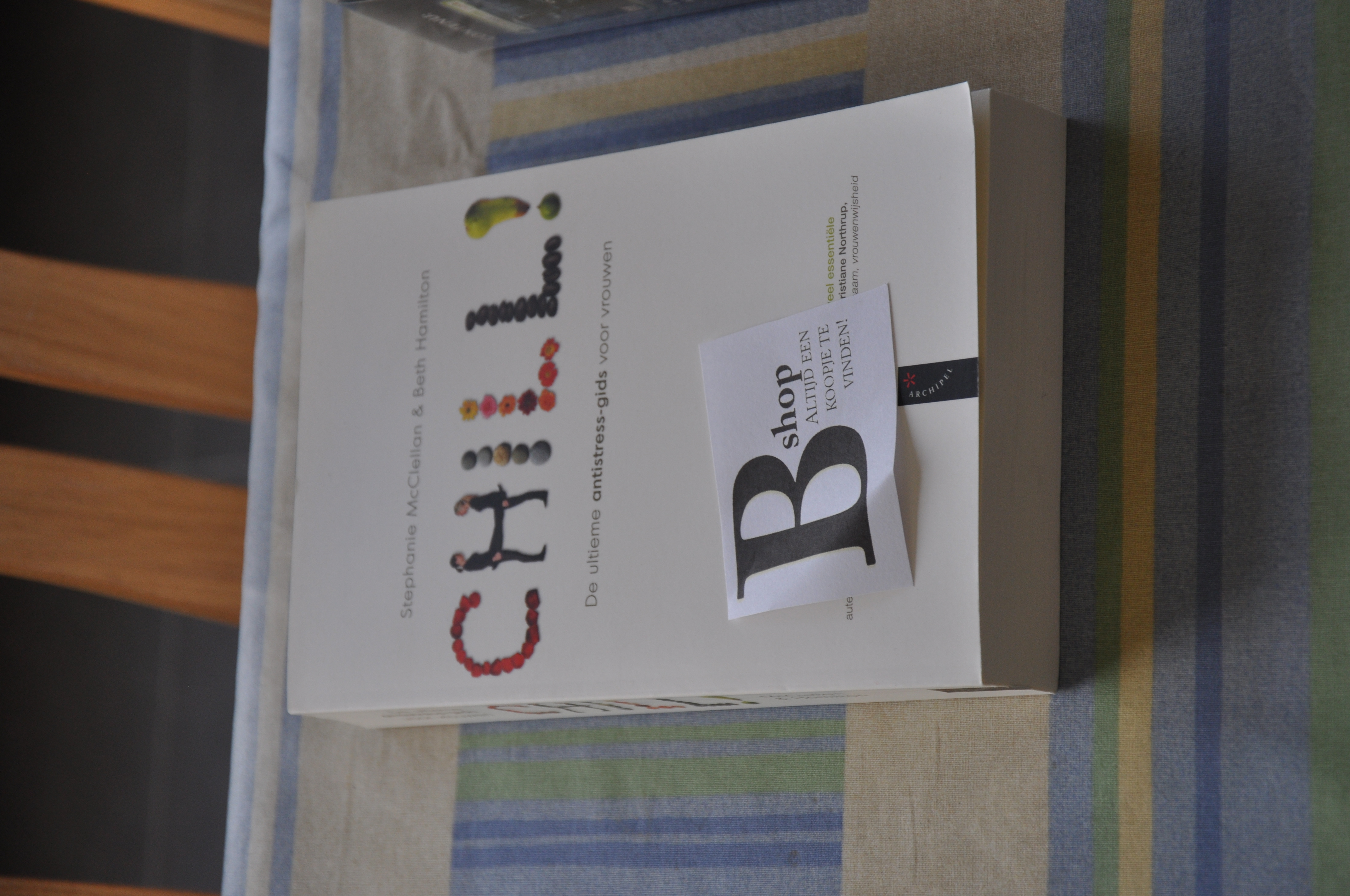 Boek "Chill" van Stephanie McClellan & Beth Hamilton  - NIEUW