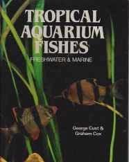 Tropical aquarium fishes