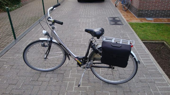 Damesfiets Monte Carlo: 