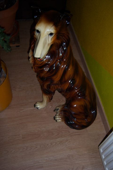 LASSIE