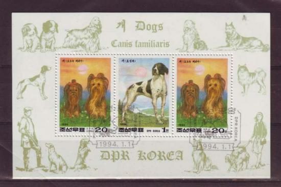 Themablok honden5 