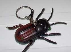 Sleutelhanger met kever