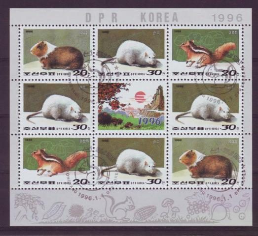 Thema dieren Korea  