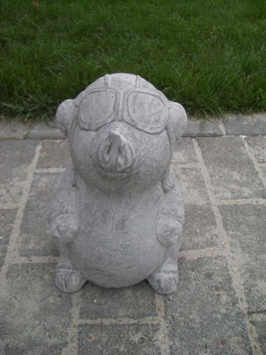 Tuinbeelden varken met bril 
