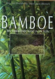 Bamboe, Jan Van Doesburg