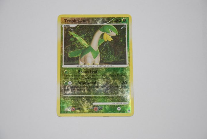 pokemon kaart tropius lv28