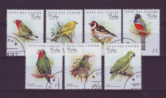 Vogels Cuba2 