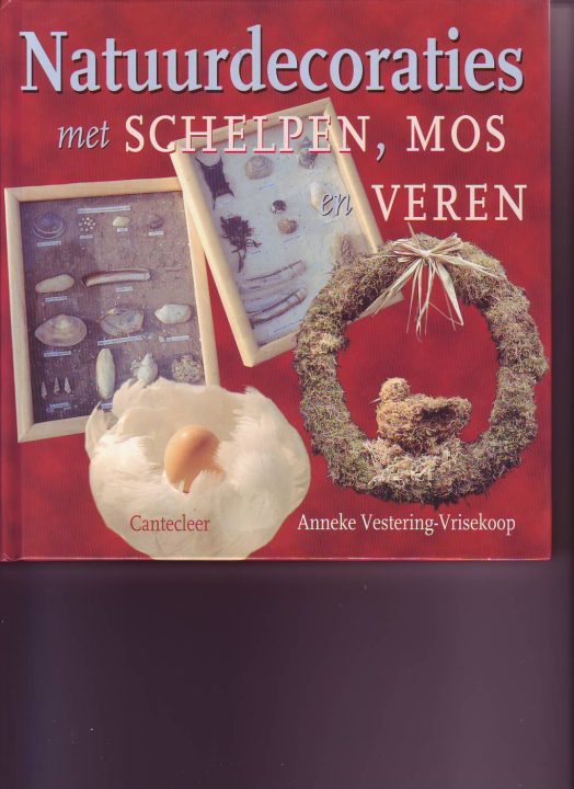 Natuurdecoraties met schelpen,mos en veren ( Anneke Vestering -Vrisekoop )