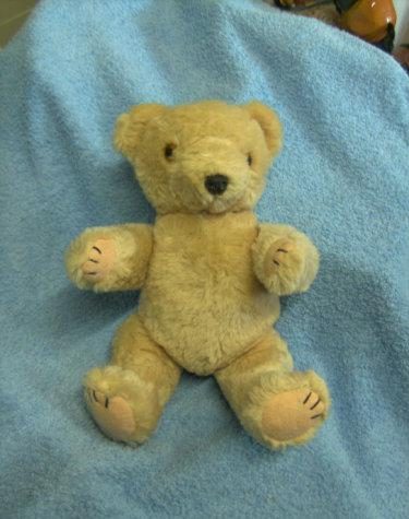 teddybeer oud model