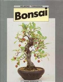 Bonsai, Anne Swinton,