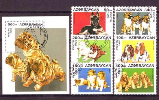 Thema dieren38 Azerbeidjan