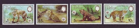 WWF dieren Belize 