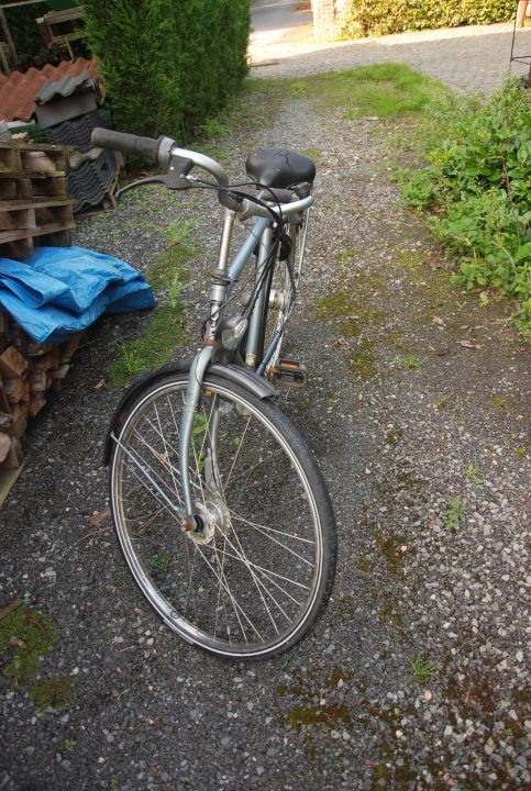 batavus