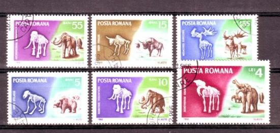 Thema dieren8 Roemenie 
