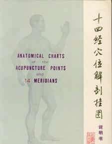 Anatomical charts of the acupuncture points