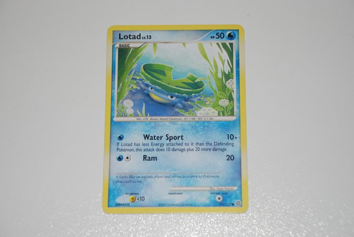 pokemon kaart lotad lv 13