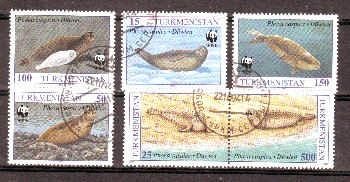 WWF thema zeehonden1 