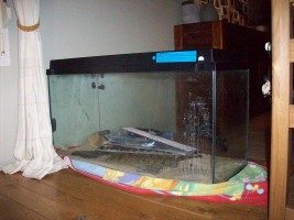 aquariums