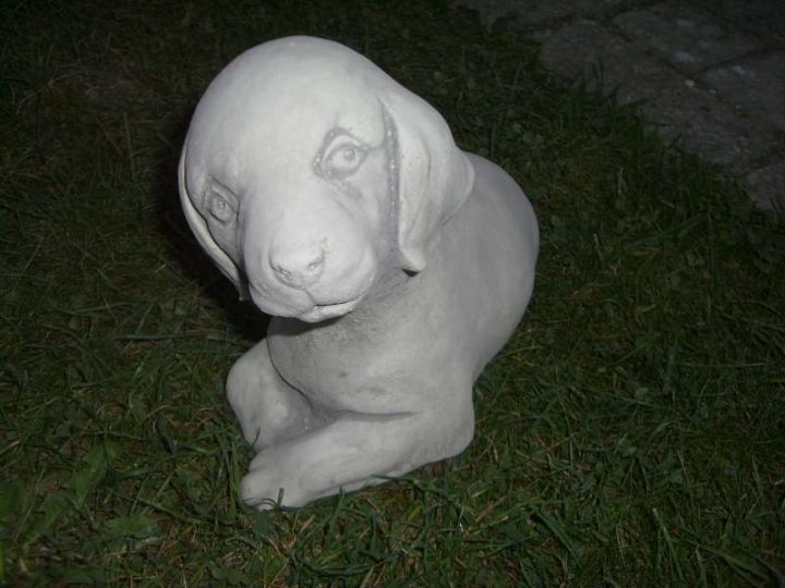 Tuinbeelden Betonnen Klein hondje 