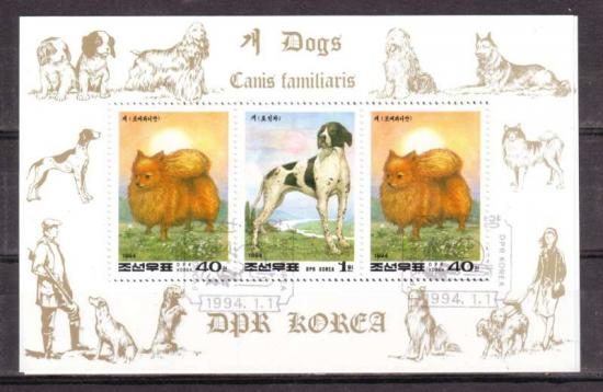 Themablok honden4 