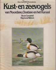 Kust- en zeevogels van Noordze