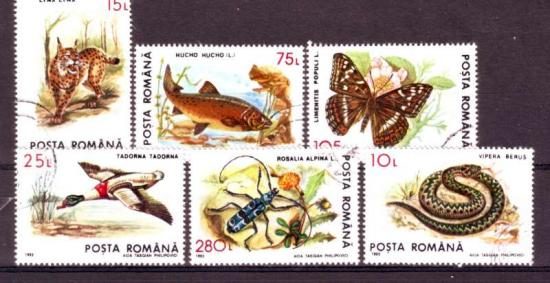 Thema dieren11 Roemenie 