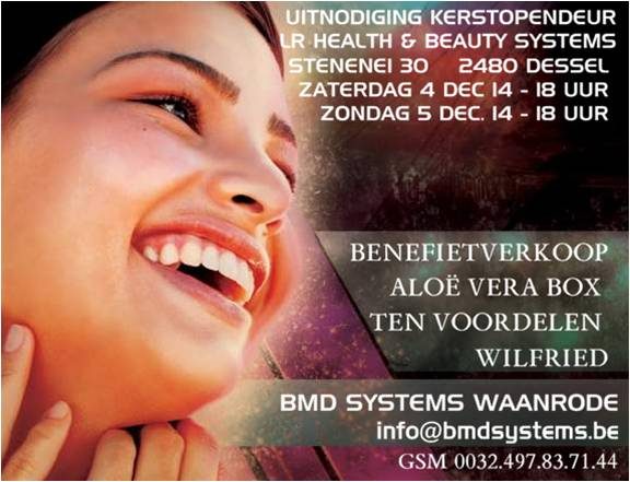 KERSTOPENDEUR MET BENEFIETVERKOOP TEN VOORDELEN VAN AANSCHAF BLINDENGELEIDENHOND