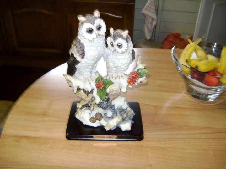 prachtig uilen beeld