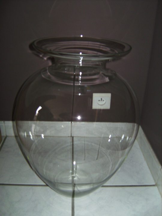 Vaas (ca 50 cm hoog)