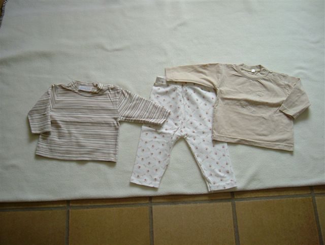 2 t-shirtjes + 1 legging, maat 68 meisjes