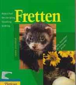 Fretten, Karim Choukair