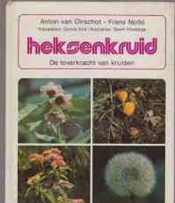Heksenkruid, Anton VAn Oirschot, Frans Nolté
